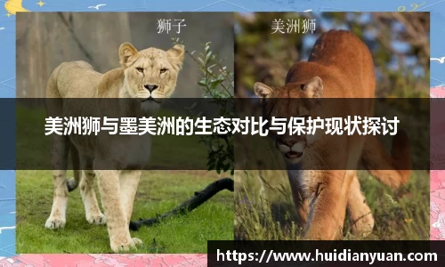 1088vip太阳成集团官网